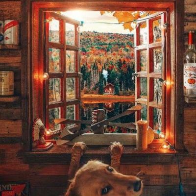 得益于采用丝杠驱动的新型微型直...